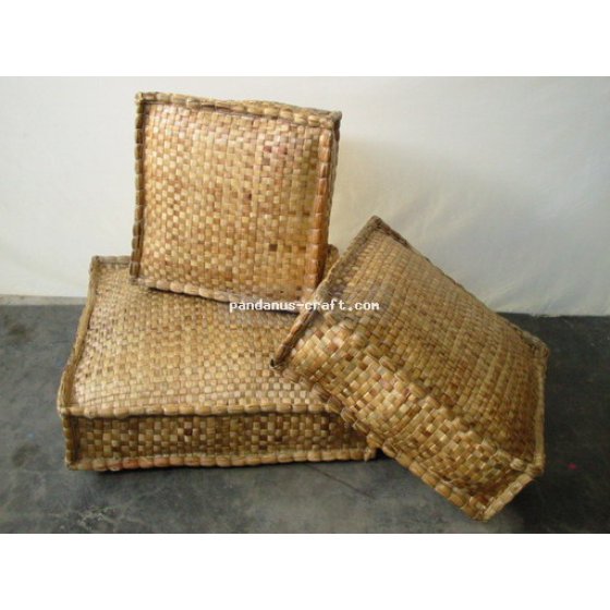 Waterhyacinth Square Cushion set of 3 handicraft